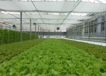 Karataş’ta tarım atağı