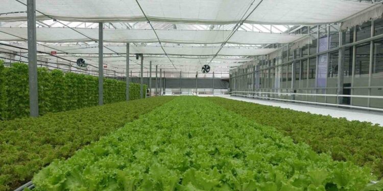 Karataş’ta tarım atağı