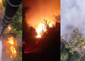 Kozan’da orman yangını