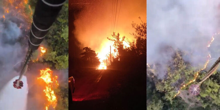 Kozan’da orman yangını