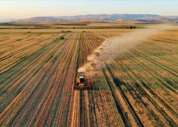 Destek kaldırıldı