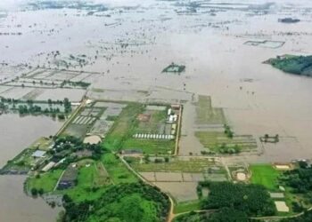 Tayland’da sel ve heyelan: 22 ölü, 19 yaralı