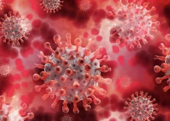 Gana’da bu yıl ilk kez M çiçeği vakası görüldü