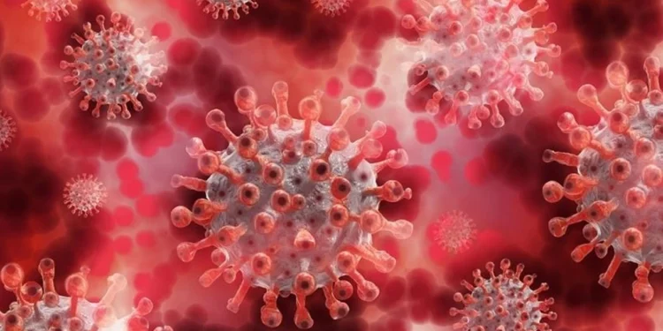 Gana’da bu yıl ilk kez M çiçeği vakası görüldü