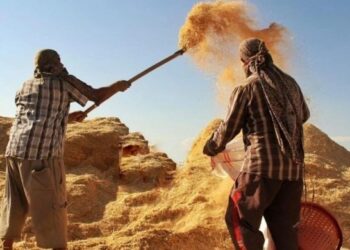 Tarımsal girdi fiyatları 1 yılda yüzde 33,25 arttı