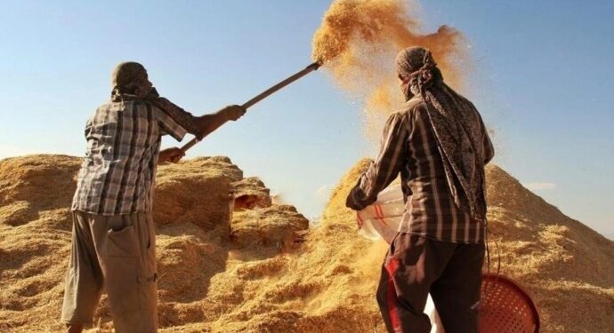 Tarımsal girdi fiyatları 1 yılda yüzde 33,25 arttı