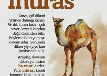 HEVA’NIN İLAH OLMASI