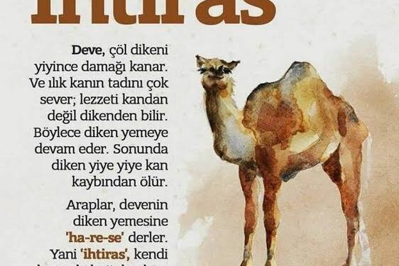 HEVA’NIN İLAH OLMASI