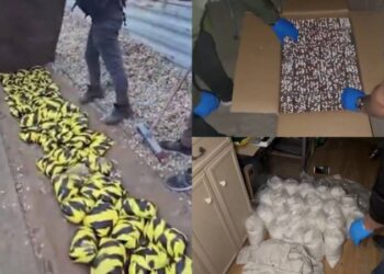 Bakan Yerlikaya duyurdu; “Narkoçelik-48” operasyonlarında tonlarca kilo uyuşturucu madde ve milyonlarca adet hap ele geçirildi!