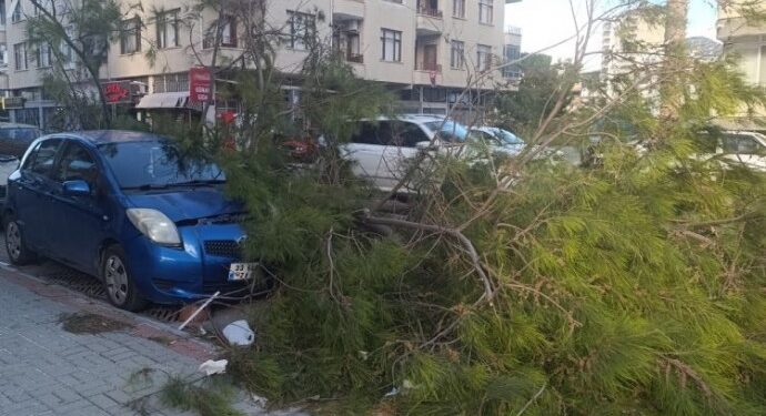 Çukurova’da fırtına ve yağış