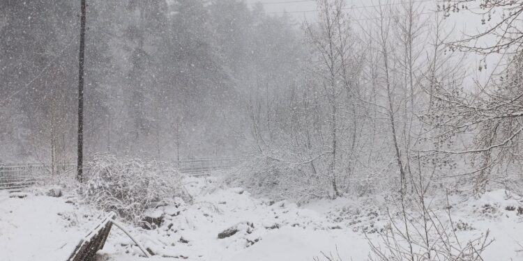 ADANA VE KAHRAMANMARAŞ’TA KAR