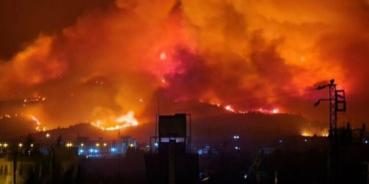 Arsuz’da orman yangını kontrol altına alındı