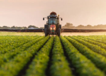 TÜİK: Tarım-ÜFE yıllık yüzde 35,46, aylık ise yüzde 5,03 arttı