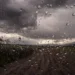 Meteoroloji dört ili sarı kodla uyardı