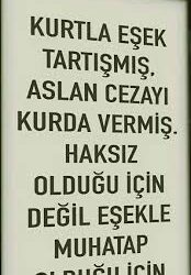 EŞEKLE TARTIŞMANIN CEZASI