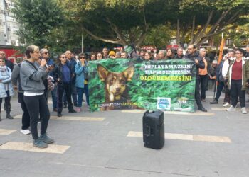 ‘Yönetmelik dedikleri soykırım!’