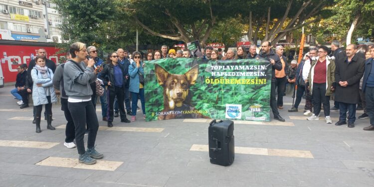 ‘Yönetmelik dedikleri soykırım!’