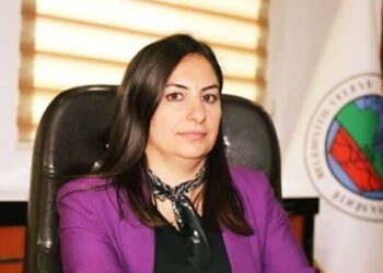 DEM Partili Siirt Belediye Eş Başkanı Sofya Alağaş’a 6 yıl 3 ay hapis cezası