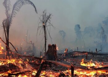 Los Angeles’da ölü sayısı 16’ya çıktı