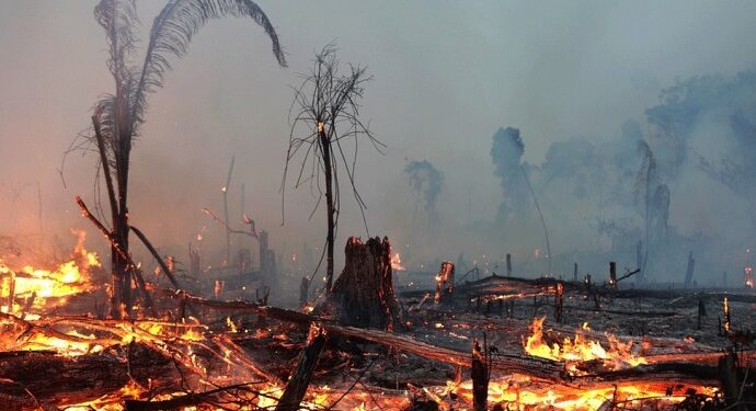 Los Angeles’da ölü sayısı 16’ya çıktı