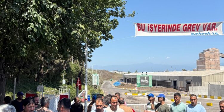 Grev 50’nci günü geride bıraktı