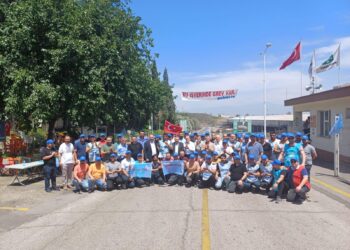 TOROS TARIMDA BACALAR TEKRAR TÜTÜYOR