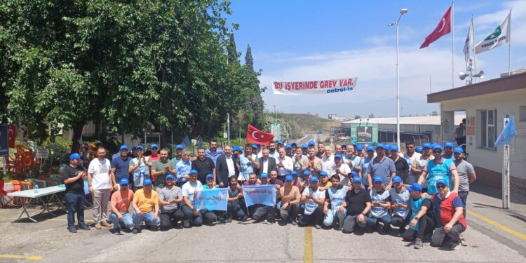 TOROS TARIMDA BACALAR TEKRAR TÜTÜYOR